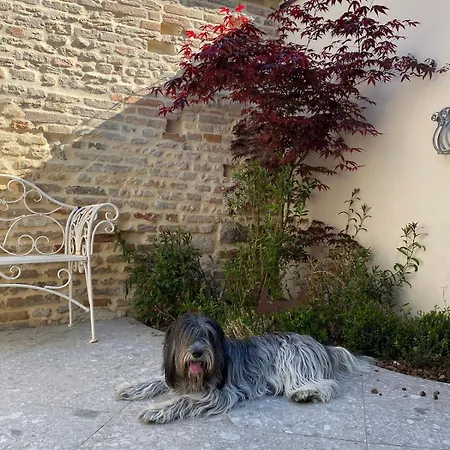 Di Zenzero - Casa San Vittore * Ravena