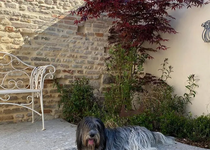 Di Zenzero - Casa San Vittore * Rávena